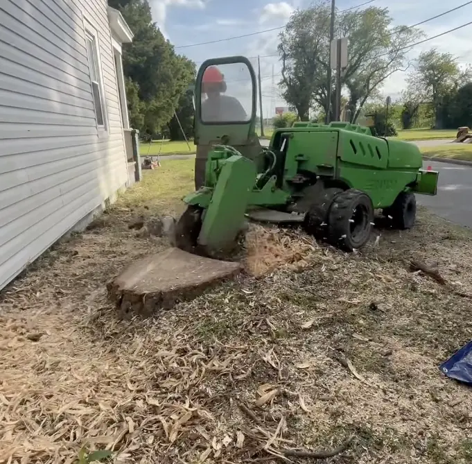 Stump grinding service in Newport News VA